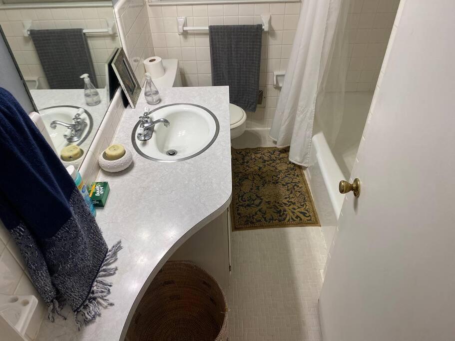 Whole House In Athens, Private, Fenced, Convenient, Close To Downtown Exterior photo